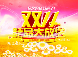 双11 双12购物节