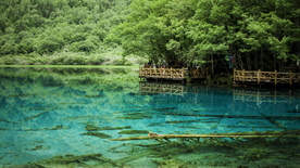 大自然风景摄影