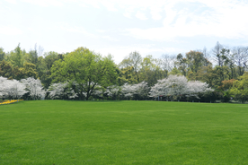 大自然风景摄影
