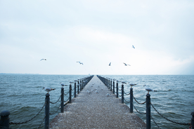 大自然风景摄影