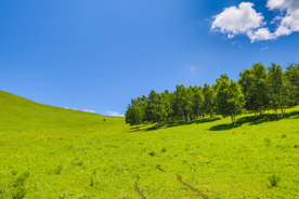 大自然风景摄影