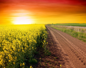 大自然风景摄影