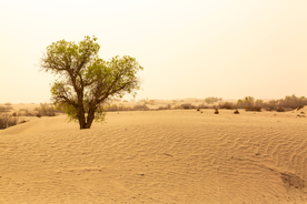 大自然风景摄影