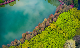 大自然风景摄影