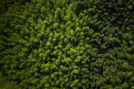 大自然风景摄影