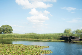 大自然风景摄影