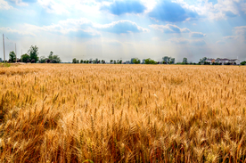 大自然风景摄影