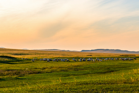 大自然风景摄影