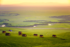 大自然风景摄影