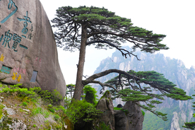 大自然风景摄影