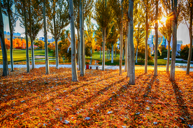 大自然风景摄影