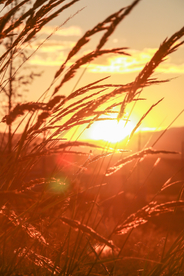 大自然风景摄影