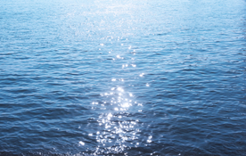 大自然风景摄影