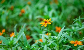 大自然风景摄影