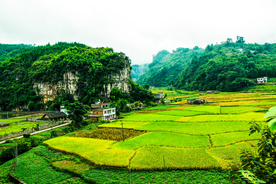 大自然风景摄影