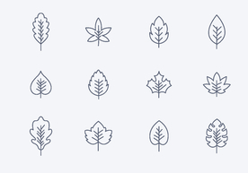 树 树叶标志图标