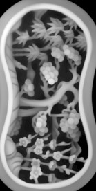 精雕图 浮雕图 灰度图 黑白图