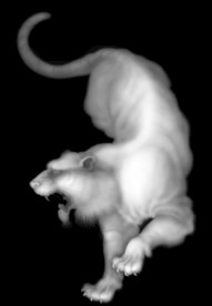 精雕图 浮雕图 灰度图 黑白图