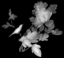 精雕图 浮雕图 灰度图 黑白图