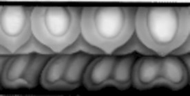 精雕图 浮雕图 灰度图 黑白图