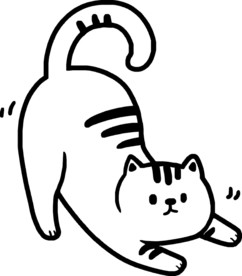 猫