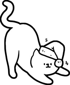猫