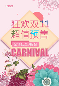 双11 双12购物节