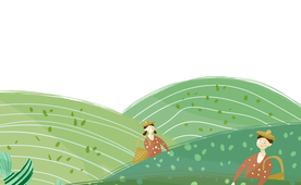 茶叶茶园清新简约背景海报素材