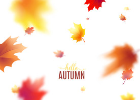 背景模板 展板背景