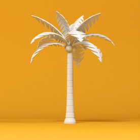 棕榈树 海滩树木