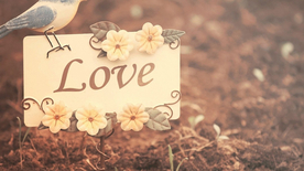 爱情