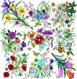 热带花 数码印花 手绘花