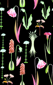 热带花 数码印花 手绘花 热带