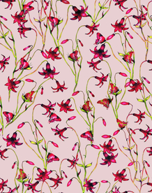 热带花 数码印花 手绘花 热带