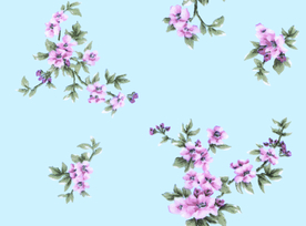 手绘花朵