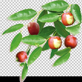 透明底水果 枣子