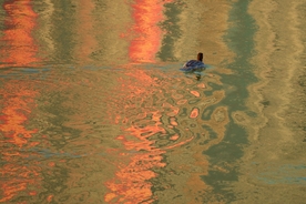 黄河岸边去看鸟