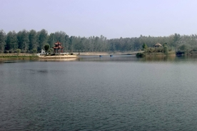 宿迁古黄河森林公园