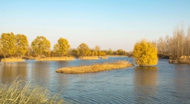 瞰冬日黄河湿地别样风景美如画