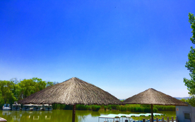 黄河最美的地方合阳洽川