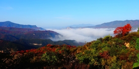 黄河峡谷游览区