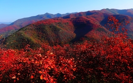黄河峡谷游览区