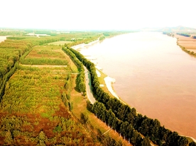 东阿黄河国家森林公园景色怡人