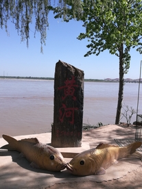 郑州黄河风景名胜区