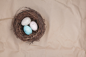 鸟蛋