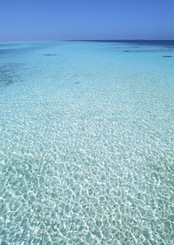 大海
