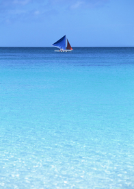 大海