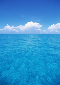 大海