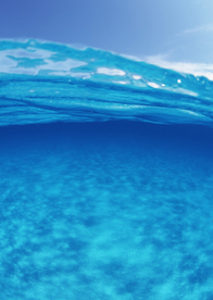 大海