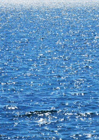大海